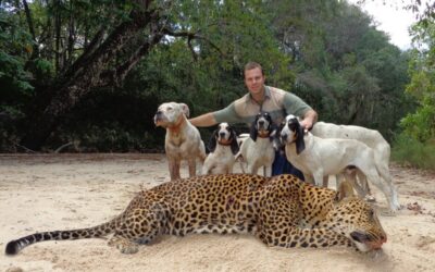 East African Forest Leopard Hunt